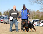 OPEN MALES: 1187 Warlord Erwin Rommel Von Zmax V2 Open Males