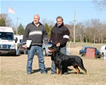 OPEN MALES: 1193 DiCalibras Macho Darkstarr SG3 Open Males