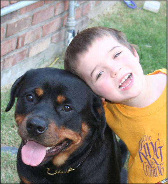Lexi vom Blaurasen, rottweiler female