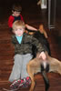 Lexi vom Blaurasen: Lexi Jan09 5