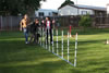 Lexi vom Blaurasen: Lexi Agility6