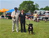 6-9 mth male rottweiler puppies: 0040 Axel Lordi Von Caprio VP1 And Best Male Puppy