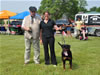 6-9 mth male rottweiler puppies: 0041 Axel Lordi Von Caprio VP1 And Best Male Puppy