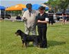 6-9 mth male rottweiler puppies: 0043 Axel Lordi Von Caprio VP1 And Best Male Puppy