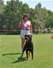 Rottweiler Youth 12-18 months: 0296 Isis Von Evman V1