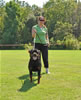 Rottweiler females 18-24 months: 0355 Carlita Von Konigliche SG3
