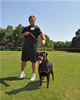 Rottweiler females 18-24 months: 0366 Alfa Vom Hause Franeta SG