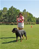 Rottweiler females 18-24 months: 0372 Emerald Von Evman II V2