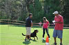 Rottweiler females 18-24 months: 0389 Olivia Von Der Alten Welt V1 Best Youth Female