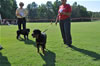Rottweilers Puppies 4-6 month: 0035 Lorals Valley Girl VP2