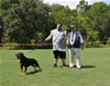 Rottweiler Champion Females: 0670 Aska Von Der Spencberg V1 Best Female
