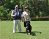 Rottweiler Champion Females: 0681 Luica Vom Drakkenfels V4
