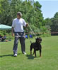 Open Females: 0723 Banjo Von Brinkhaus V