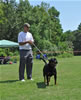 Open Females: 0724 Banjo Von Brinkhaus V