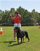 Open Females: 0741 Shanti Von Evman SG