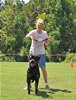 Rottweiler Youth 12-18 months: 0196 Tyko Vom Blaurasen G