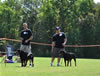 Rottweiler Youth 12-18 months: 0235