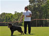 Rottweiler Youth 12-18 months: 0252 York Vom Schwaiger Rathaus V2