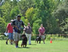 Rottweiler Youth 12-18 months: 0253