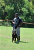 Rottweiler Youth 12-18 months: 0256