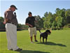Rottweiler Puppies 6-9 mths: 0059 Drybrukes Bold Ruler VP1