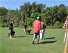 Rottweiler Puppies 6-9 mths: 0065