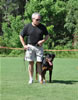 Rottweiler Puppies 9-12 mths: 0079 Lonecreeks Kronos P