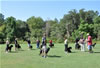 Rottweiler Puppies 9-12 mths: 0139