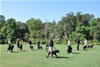 Rottweiler Puppies 9-12 mths: 0140