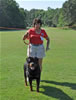 Rottweiler Champion males: 0517 Matisses Masterpiece Von Evman V2
