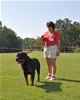 Rottweiler Champion males: 0520 Matisses Masterpiece Von Evman V2