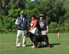 Rottweiler Champion males: 0535 Matisses Masterpiece Von Evman V2