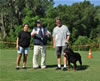 Rottweiler Champion males: 0538 Lothar Vom Drakkenfels V3