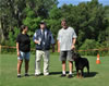 Rottweiler Champion males: 0540 Lothar Vom Drakkenfels V3