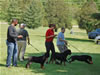0289 Kenya Vom Schwarzen Eis VP1 National Best Female Puppy