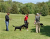 0291 Kenya Vom Schwarzen Eis VP1 National Best Female Puppy