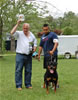 0125 Drybruckes Alysheba V1 And Natl Siegerin