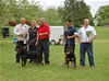 0240 Natl Sieger Lakesides Quest And Natl Siegerin Drybruckes Alysheba