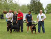 0241 Natl Sieger Lakesides Quest And Natl Siegerin Drybruckes Alysheba