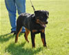 0005 Kooper Vom Schwarzen Eis VP4