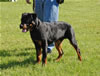 0008 Kooper Vom Schwarzen Eis VP4