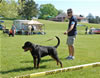 0069 Astire Max Vom Hause Hudson P