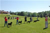 0088 6-9mth Males