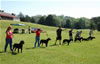 0089 6-9mth Males