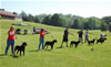 0090 6-9mth Males