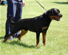 0119 Fernando Von Herrschaft P