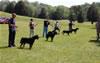 0138 9-12mth Males
