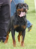0823 Dooley Von Stolzenfurst V2