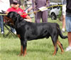 0844 Von Ruelmanns Zeke SG4