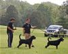 0857 Dooley Von Stolzenfurst V2 And  Warlord Erwin Rommel Von Z Max V1